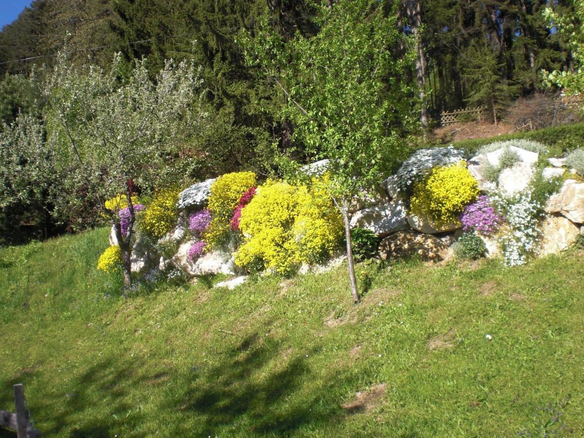Ferienwohnungen Eggarter Fresach Экстерьер фото